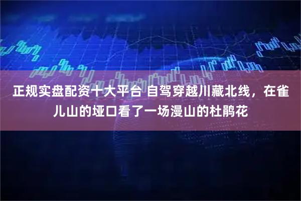 正规实盘配资十大平台 自驾穿越川藏北线，在雀儿山的垭口看了一场漫山的杜鹃花